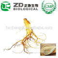 China Supplier Fresh Ginseng Root Ginseng Powder in Herbal Extract for Health Care